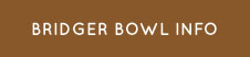 Bridget Bowl Information