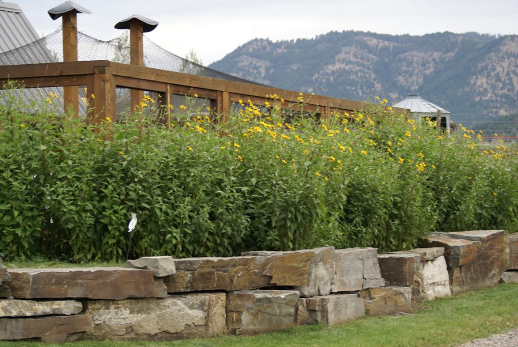 Ranch « Mt Pocket Ranch